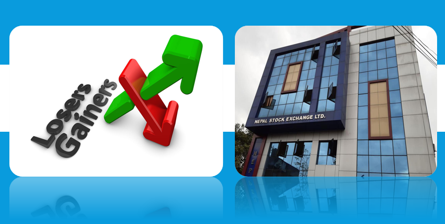 शेयर बजार नकारात्मक हुँदा पनि सर्वाधिक धेरै बढेका १० कम्पनी, माइक्रोफाइनान्स र हाइड्रोपावरको क्षेत्रमा सुधार